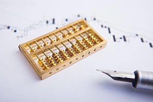 核算,菌類,小企業(yè),會計制度