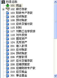 民辦非營(yíng)利學(xué)校會(huì)計(jì)科目,非營(yíng)利民間組織會(huì)計(jì)科目,非營(yíng)利組織機(jī)構(gòu)會(huì)計(jì)科目