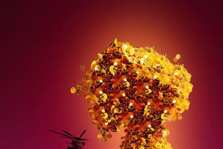 印花稅屬于哪個會計科目