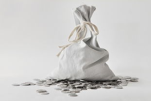 一個(gè)項(xiàng)目下包含了多個(gè)會(huì)計(jì)科目