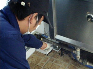 殺蟲滅鼠入什么會計科目