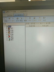 從模版中引入會計科目