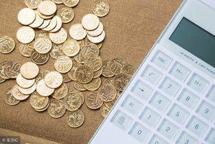 個(gè)人所得稅手續(xù)費(fèi)返還計(jì)入什么科目,個(gè)人所得稅返還什么意思,代扣個(gè)人所得稅返還手續(xù)費(fèi)計(jì)入