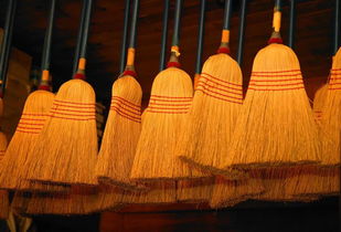 掃把放什么會計科目