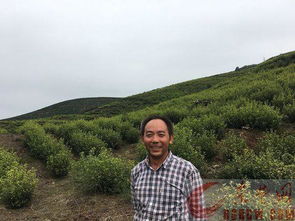 旅游費(fèi)的會計(jì)科目