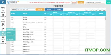 建賬,明細(xì)賬,期初,會(huì)計(jì)科目