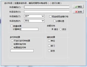 電算化會計形考任務設(shè)置會計科目