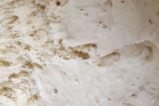 利息收入會(huì)計(jì)科目號(hào)