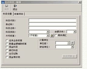 做什么,接口,會計科目,軟件