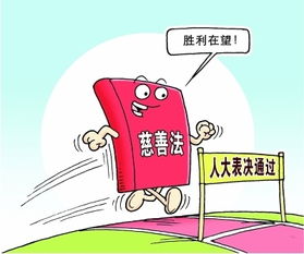 最新慈善組織會計科目