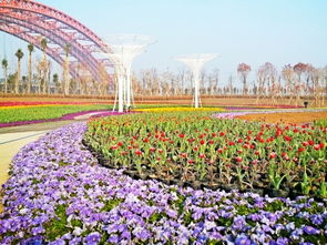 花卉園藝公司會(huì)計(jì)科目