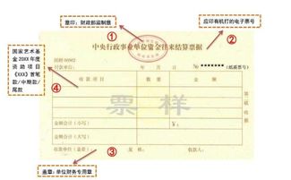 遼寧省非稅收入統(tǒng)一收據(jù)記什么會計科目