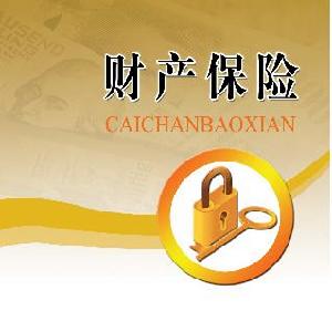 財產保險費計入什么會計科目,年度財產保險費計入會計科目,財產保險費的會計科目