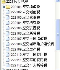 會(huì)計(jì)科目二級(jí)科目明細(xì)表,會(huì)計(jì)科目的二級(jí)科目有哪些,會(huì)計(jì)科目增加不了二級(jí)科目