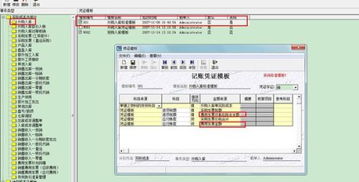 憑證,金蝶,會(huì)計(jì)科目,顯示