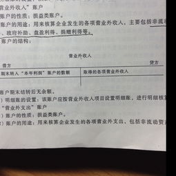 借方,負(fù)數(shù),營業(yè),成本