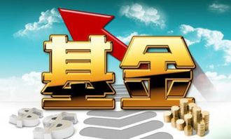 基金屬于什么會(huì)計(jì)科目,固定基金屬于什么會(huì)計(jì)科目,專用基金屬于什么會(huì)計(jì)科目