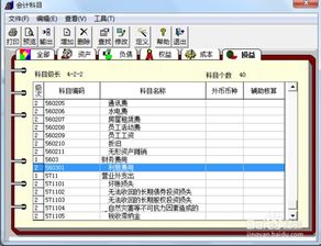 用友t3增加會(huì)計(jì)科目時(shí)錄中文