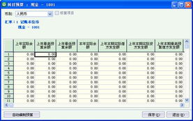 下設,核算,會計科目,項目