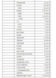 村級財政會計科目