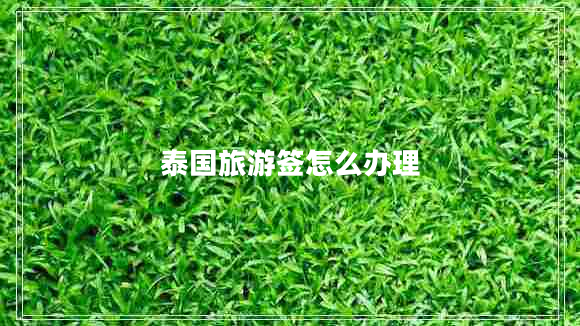 泰國旅游簽怎么辦理 泰國旅游簽怎么辦理