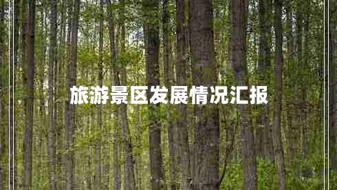 旅游景區(qū)發(fā)展情況匯報