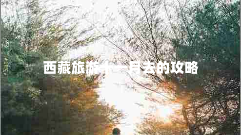 西藏旅游十一月去的攻略