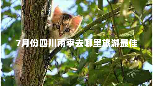 7月份四川雨季去哪里旅游最佳 7月份四川雨季去哪里旅游最佳