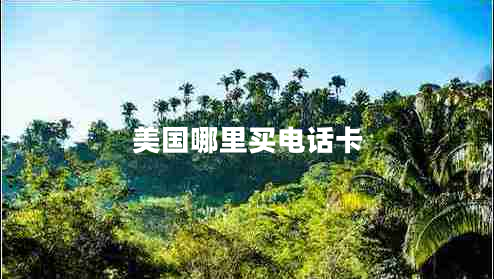 美國(guó)哪里買(mǎi)電話(huà)卡 美國(guó)哪里買(mǎi)電話(huà)卡