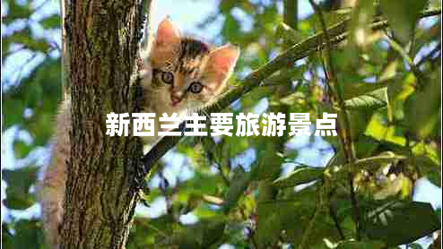 新西蘭主要旅游景點