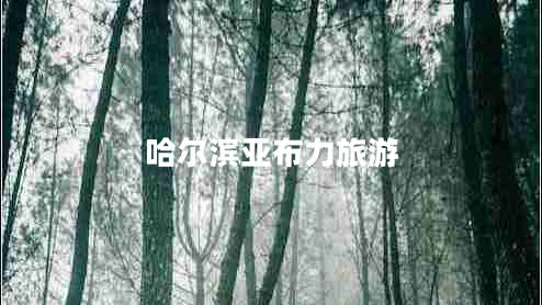 哈爾濱亞布力旅游