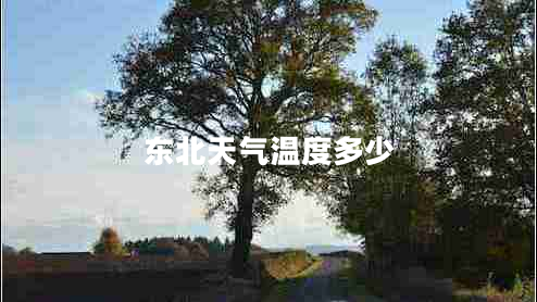 東北天氣溫度多少