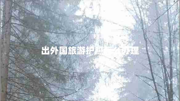 出外國旅游護(hù)照怎么辦理