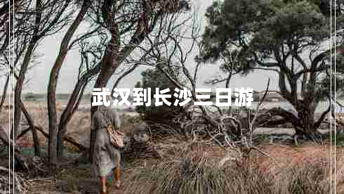 武漢到長沙三日游