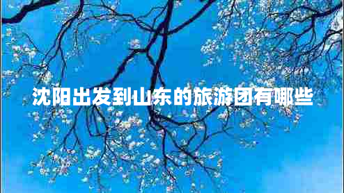 沈陽(yáng)出發(fā)到山東的旅游團(tuán)有哪些 沈陽(yáng)出發(fā)到山東的旅游團(tuán)有哪些
