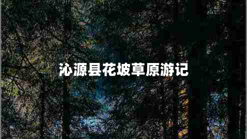 沁源縣花坡草原游記