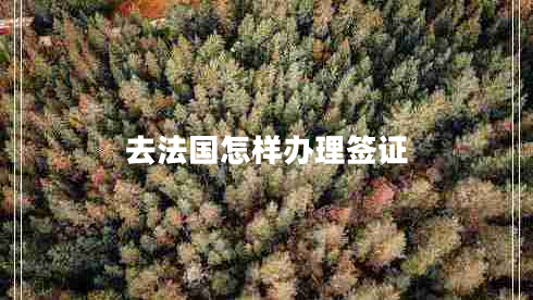 去法國怎樣辦理簽證 去法國怎樣辦理簽證