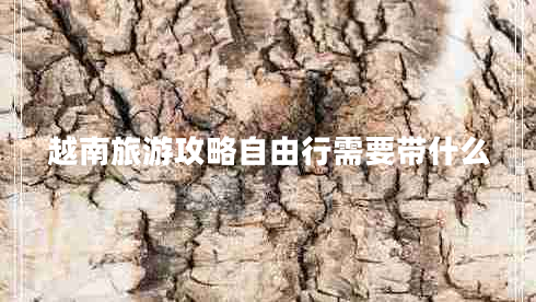 越南旅游攻略自由行需要帶什么