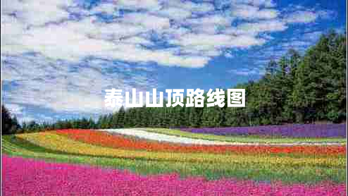 泰山山頂路線圖