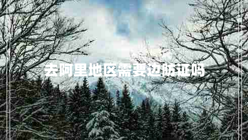 去阿里地區(qū)需要邊防證嗎