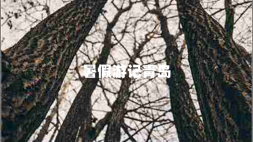 暑假游記青島 暑假游記青島