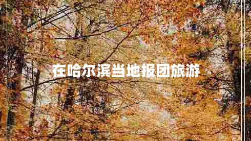 在哈爾濱當(dāng)?shù)貓髨F旅游