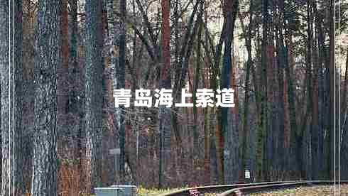 青島海上索道 青島海上索道