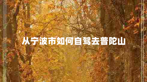 從寧波市如何自駕去普陀山
