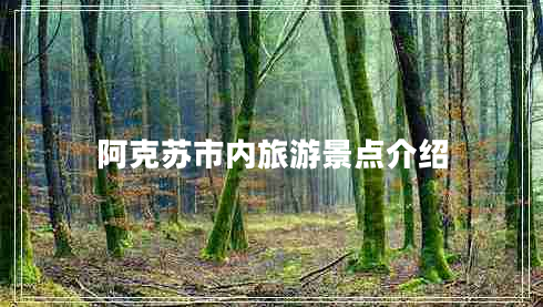 阿克蘇市內(nèi)旅游景點(diǎn)介紹