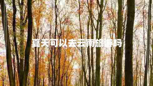 夏天可以去云南旅游嗎