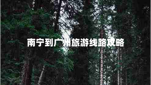南寧到廣州旅游線(xiàn)路攻略 南寧到廣州旅游線(xiàn)路攻略