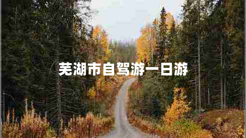 蕪湖市自駕游一日游