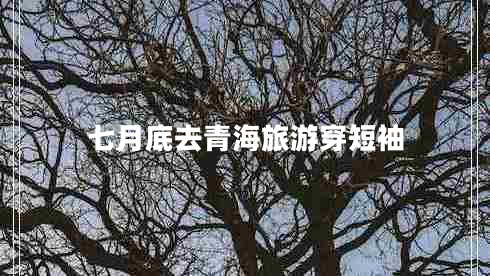 七月底去青海旅游穿短袖