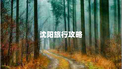 沈陽(yáng)旅行攻略 沈陽(yáng)旅行攻略